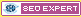 SEO Expert